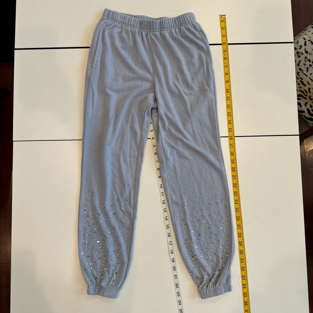 NWOT Wildfox Light Blue Joggers with Rhinestone Detail